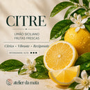 Difusor de Varetas Citre – Limão Siciliano e Frutas Cítricas