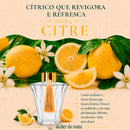 Difusor de Varetas Citre – Limão Siciliano e Frutas Cítricas