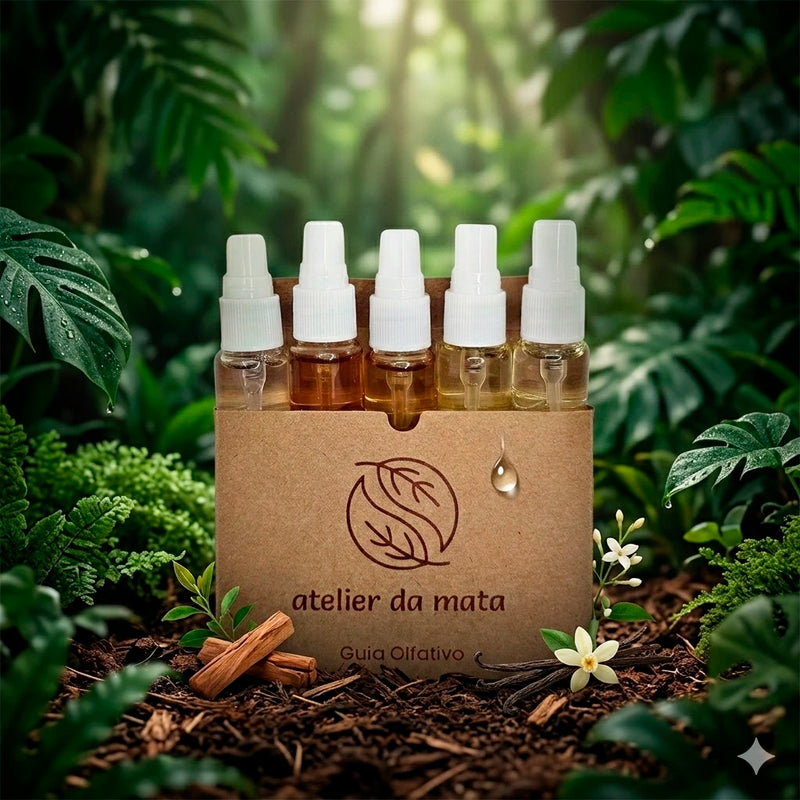 Guia Olfativo | 6 Aromas para conhecer